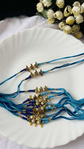 Krishna Rakhi
