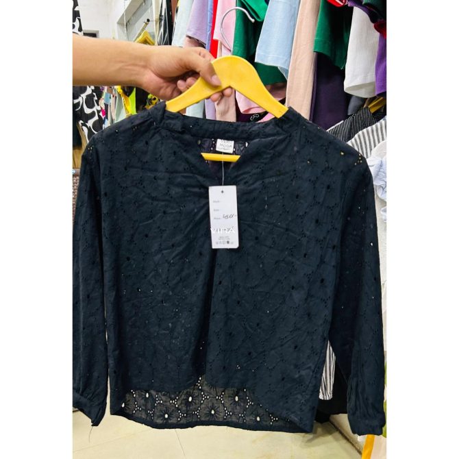 Chikankari Self Work Top