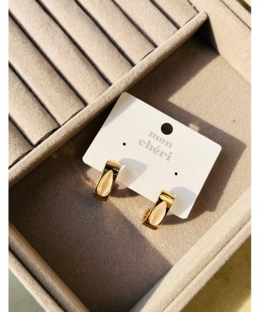 Satchel Earrings