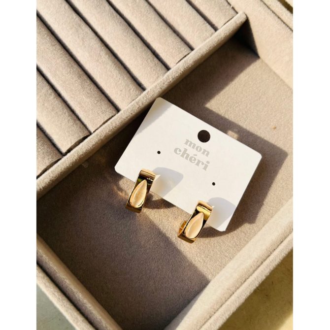 Satchel Earrings