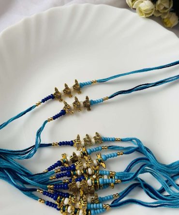 Krishna Rakhi