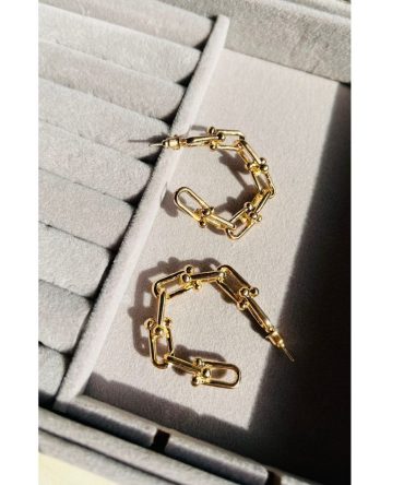 Linked Chain Hoops