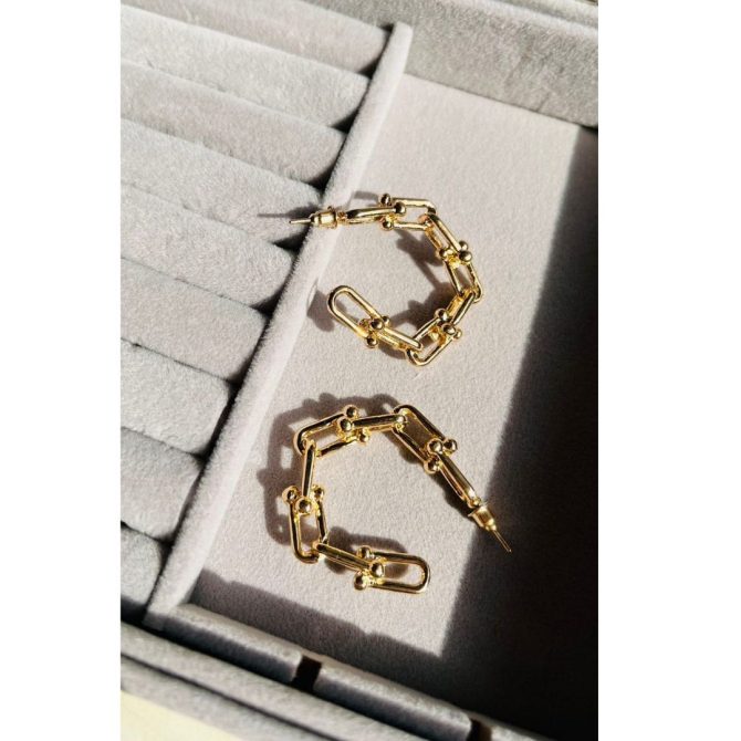 Linked Chain Hoops